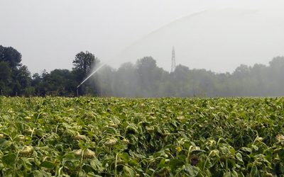 Convegno “Dalla bonifica irrigua alla bonifica idraulica nel territorio delle colline Moreniche del Garda”